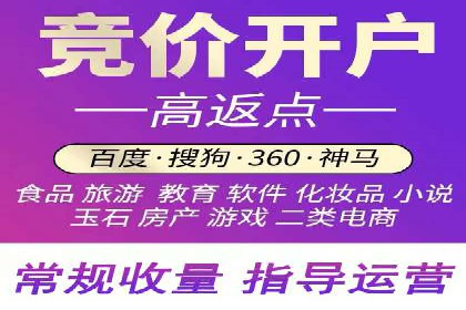 网络推广策略：竞价广告的实践案例